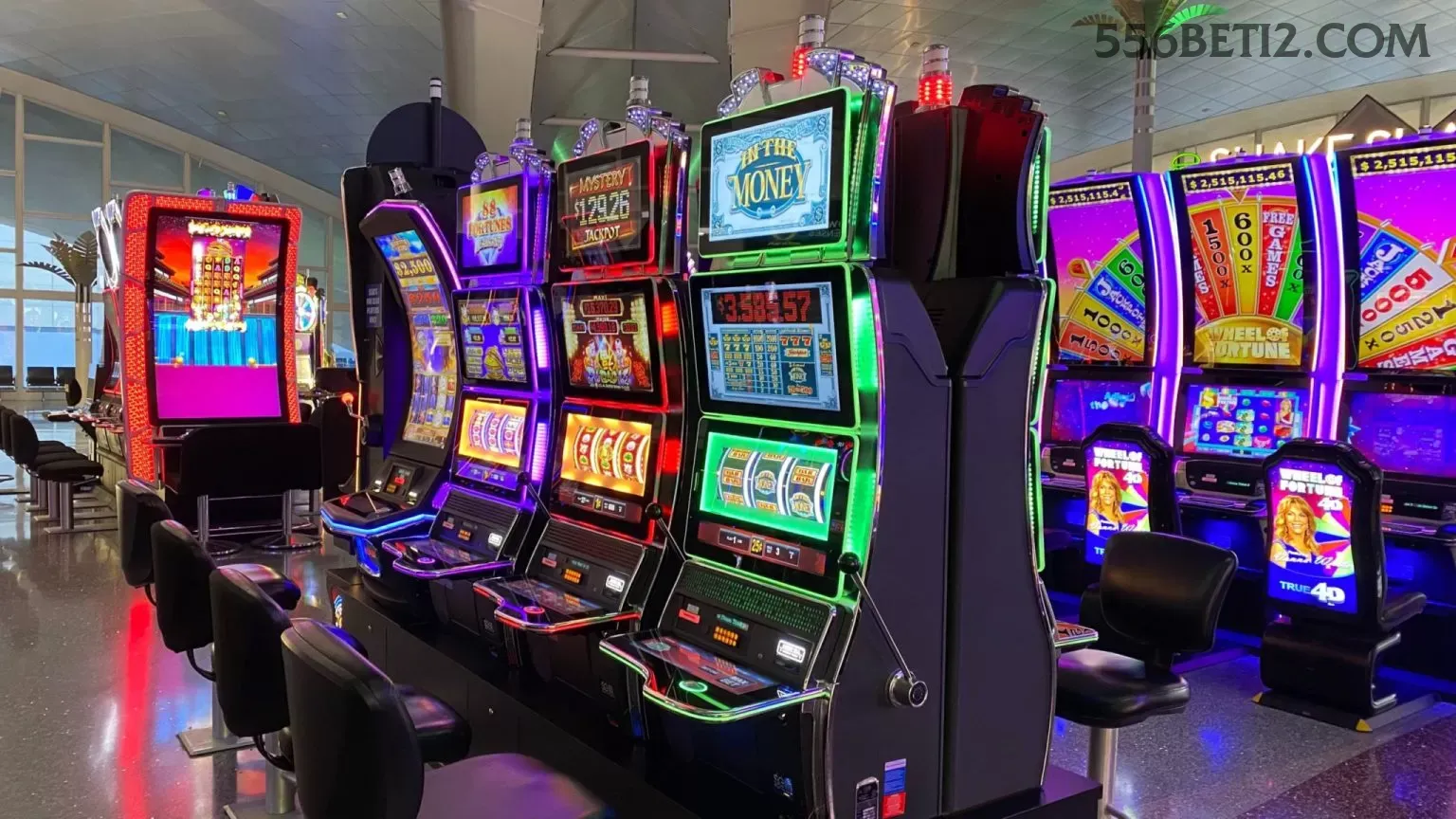 App 556bet slots mobile
